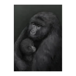 Bergsgorillan poster, 30x40 cm