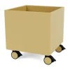 Colour Box I – S6161, Cumin