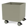 Colour Box I – S6161, Fennel