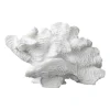 Coral fan, White