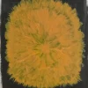 Dandelion poster 40x50 cm, Gul-svart
