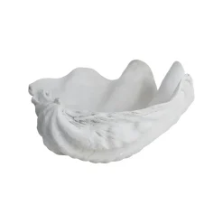 Shell dekoration, Small