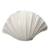 Shell vas, Vit