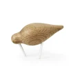 Shorebird ek-vit, liten