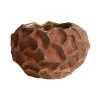 Soil kruka Ø18 cm, Rust