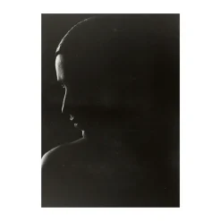 The Silhouette poster, 50x70 cm
