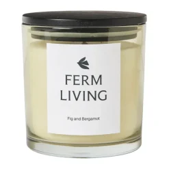 Vitto doftljus 45 h, Light Celedon
